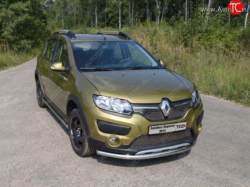 15 549 р. Защита переднего бампера нижняя d60,3 мм ТСС Тюнинг  Renault Sandero Stepway  (B8) (2014-2018) дорестайлинг (нержавейка)  с доставкой в г. Таганрог