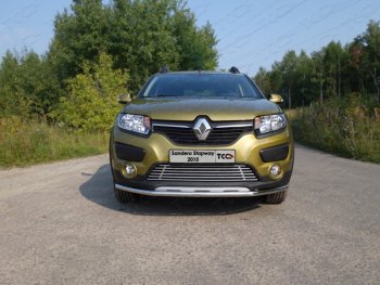 7 699 р. Нижняя декоративная вставка в бампер ТСС Тюнинг  Renault Sandero Stepway  (B8) (2014-2018) дорестайлинг (d 12 мм)  с доставкой в г. Таганрог. Увеличить фотографию 1