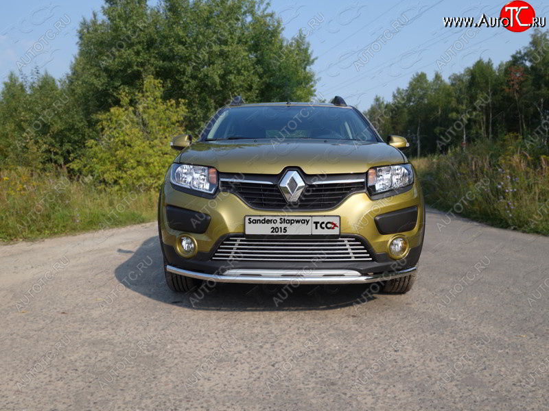 7 699 р. Нижняя декоративная вставка в бампер ТСС Тюнинг  Renault Sandero Stepway  (B8) (2014-2018) дорестайлинг (d 12 мм)  с доставкой в г. Таганрог