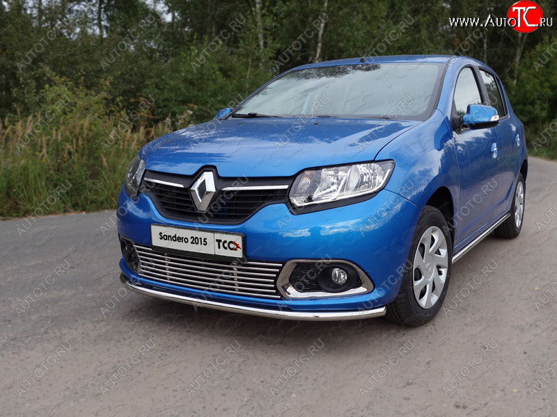 9 349 р. Нижняя декоративная вставка в бампер ТСС Тюнинг  Renault Sandero  (B8) (2014-2018) дорестайлинг (d 12 мм)  с доставкой в г. Таганрог