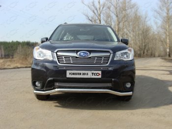 3 099 р. Средняя декоративная вставка в бампер ТСС Тюнинг  Subaru Forester  SJ (2012-2016) дорестайлинг (d 12 мм)  с доставкой в г. Таганрог. Увеличить фотографию 1