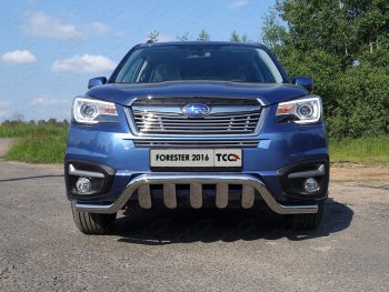 3 099 р. Средняя декоративная вставка в бампер ТСС Тюнинг  Subaru Forester  SJ (2016-2019) рестайлинг (d 12 мм)  с доставкой в г. Таганрог. Увеличить фотографию 1