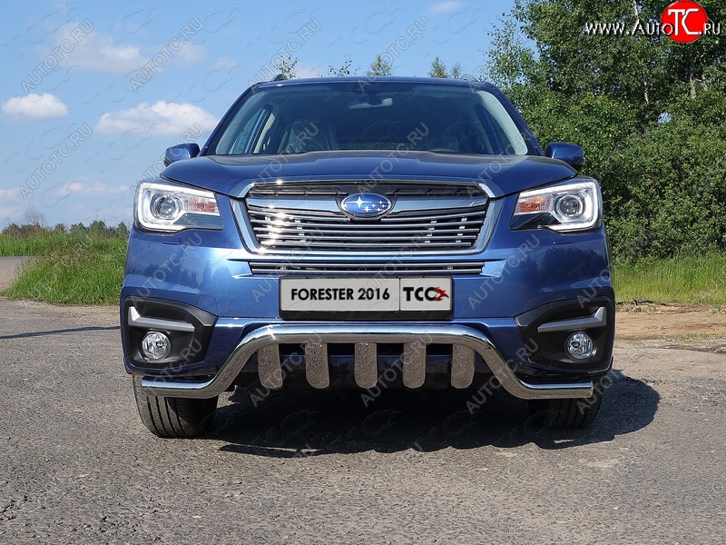 3 099 р. Средняя декоративная вставка в бампер ТСС Тюнинг  Subaru Forester  SJ (2016-2019) рестайлинг (d 12 мм)  с доставкой в г. Таганрог