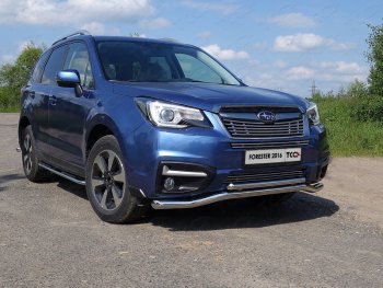 4 649 р. Нижняя декоративная вставка в бампер ТСС Тюнинг  Subaru Forester  SJ (2016-2019) рестайлинг (d 12 мм)  с доставкой в г. Таганрог. Увеличить фотографию 1