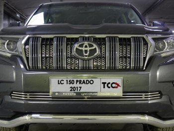 7 699 р. Нижняя декоративная вставка в бампер ТСС Тюнинг  Toyota Land Cruiser Prado  J150 (2017-2020) 2-ой рестайлинг (d 12 мм)  с доставкой в г. Таганрог. Увеличить фотографию 1