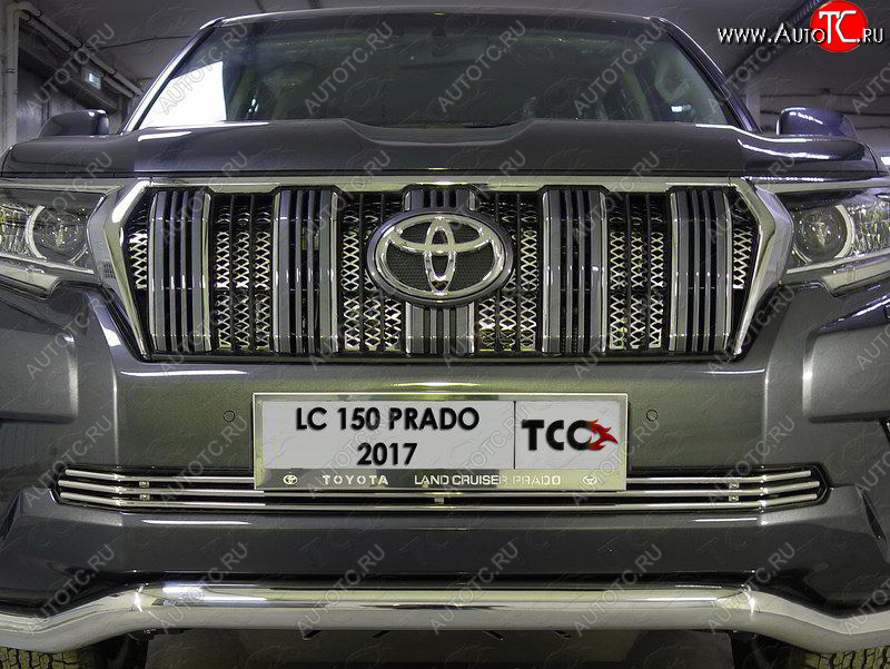 7 699 р. Нижняя декоративная вставка в бампер ТСС Тюнинг  Toyota Land Cruiser Prado  J150 (2017-2020) 2-ой рестайлинг (d 12 мм)  с доставкой в г. Таганрог