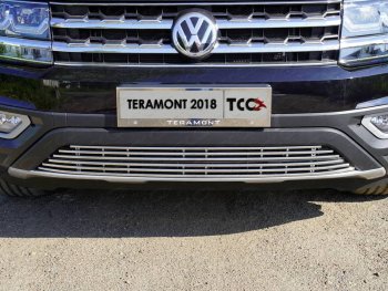 9 349 р. Нижняя декоративная вставка в бампер ТСС Тюнинг  Volkswagen Teramont  CA1 (2016-2020) дорестайлинг (d 12 мм)  с доставкой в г. Таганрог. Увеличить фотографию 1