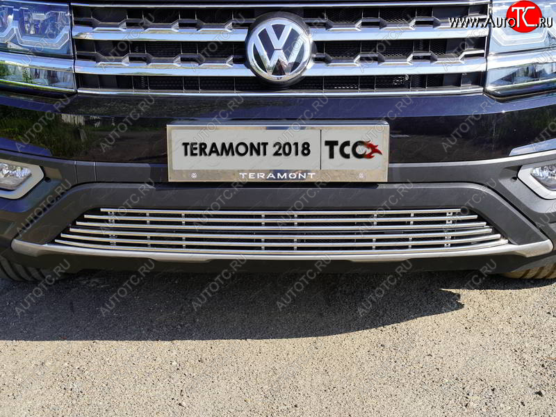 9 349 р. Нижняя декоративная вставка в бампер ТСС Тюнинг  Volkswagen Teramont  CA1 (2016-2020) дорестайлинг (d 12 мм)  с доставкой в г. Таганрог