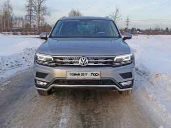 Защита переднего бампера нижняя d42,4 мм ТСС Тюнинг Volkswagen (Волксваген) Tiguan (Тигуан)  Mk2 (2016-2020) Mk2 дорестайлинг