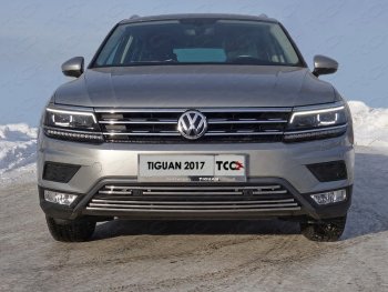 7 699 р. Нижняя декоративная вставка в бампер (пакет Offroad) ТСС Тюнинг  Volkswagen Tiguan  Mk2 (2016-2020) дорестайлинг (d 16 мм)  с доставкой в г. Таганрог. Увеличить фотографию 1