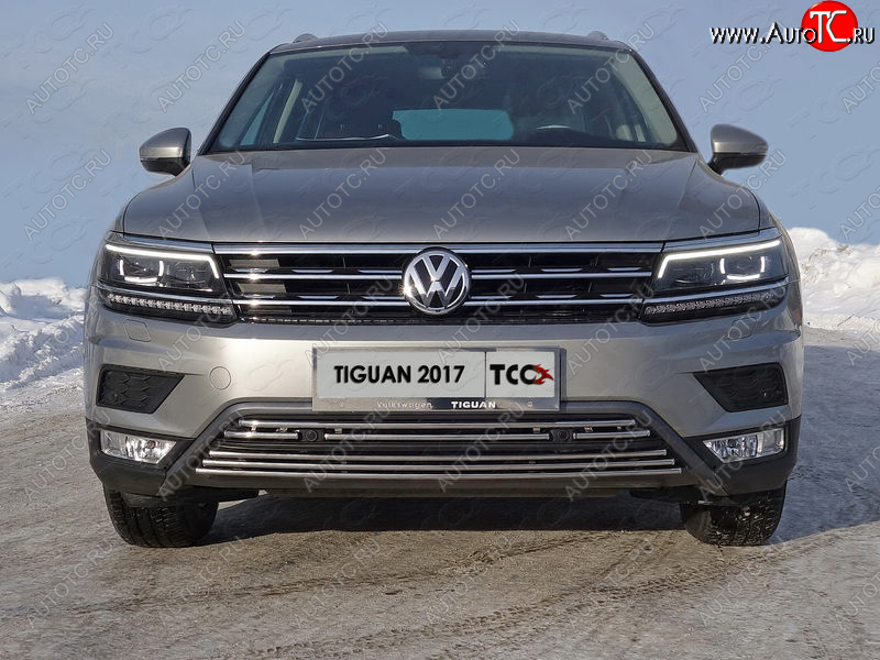 7 699 р. Нижняя декоративная вставка в бампер (пакет Offroad) ТСС Тюнинг  Volkswagen Tiguan  Mk2 (2016-2020) дорестайлинг (d 16 мм)  с доставкой в г. Таганрог