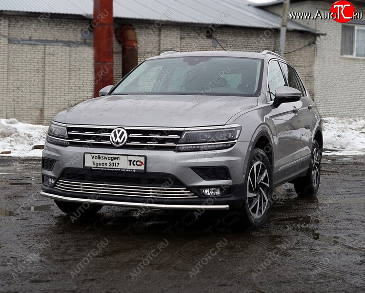 16 999 р. Защита переднего бампера нижняя d42,4 мм ТСС Тюнинг  Volkswagen Tiguan  Mk2 (2016-2020) дорестайлинг (нержавейка)  с доставкой в г. Таганрог