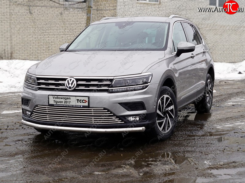 18 999 р. Защита переднего бампера нижняя d60,3 мм ТСС Тюнинг  Volkswagen Tiguan  Mk2 (2016-2020) дорестайлинг (нержавейка)  с доставкой в г. Таганрог