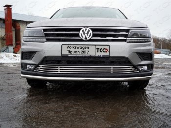 7 699 р. Нижняя декоративная вставка в бампер ТСС Тюнинг  Volkswagen Tiguan  Mk2 (2016-2020) дорестайлинг (d 12 мм)  с доставкой в г. Таганрог. Увеличить фотографию 1