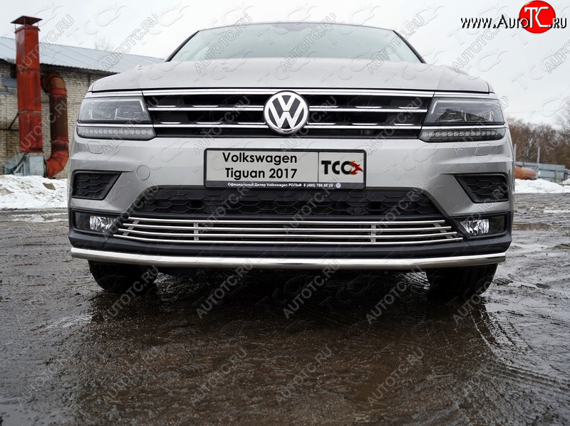 7 699 р. Нижняя декоративная вставка в бампер ТСС Тюнинг  Volkswagen Tiguan  Mk2 (2016-2020) дорестайлинг (d 12 мм)  с доставкой в г. Таганрог