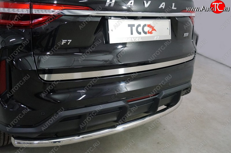 2 299 р. Накладка на заднюю дверь, ТСС Тюнинг  Haval F7 (2022-2024) рестайлинг (Лист шлифованный)  с доставкой в г. Таганрог