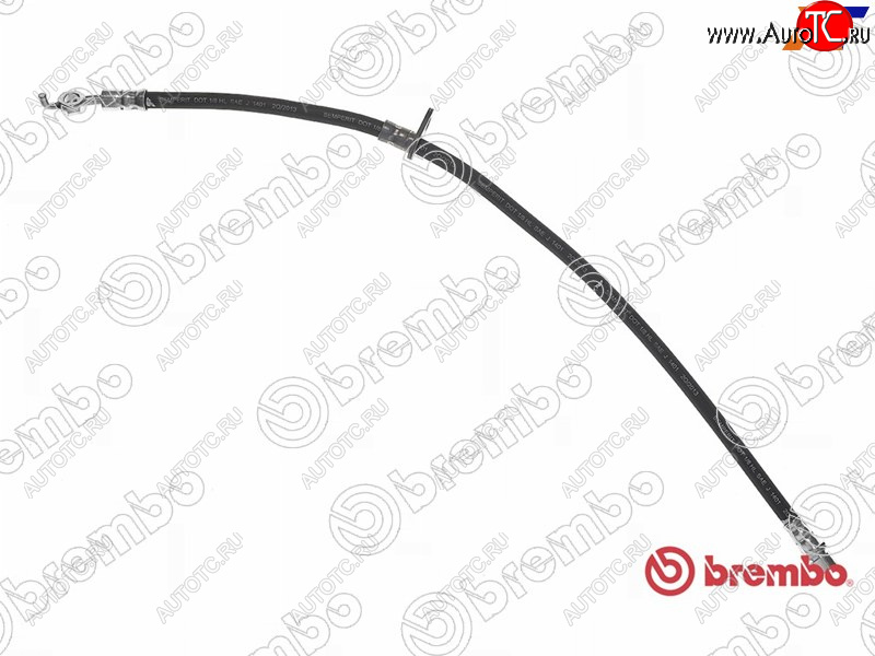 2 499 р. Шланг тормозной передний LH=RH BREMBO  Lexus ES300  XV30 (2001-2006), Toyota Camry  XV30 (2001-2006)  с доставкой в г. Таганрог