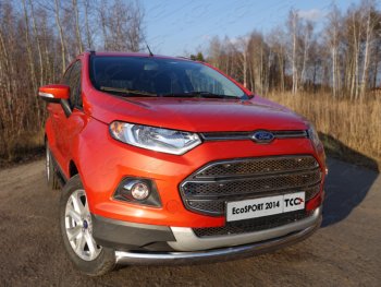 Защита переднего бампера нижняя овальная 75х42 мм ТСС Тюнинг Ford EcoSport дорестайлинг (2013-2019) ()