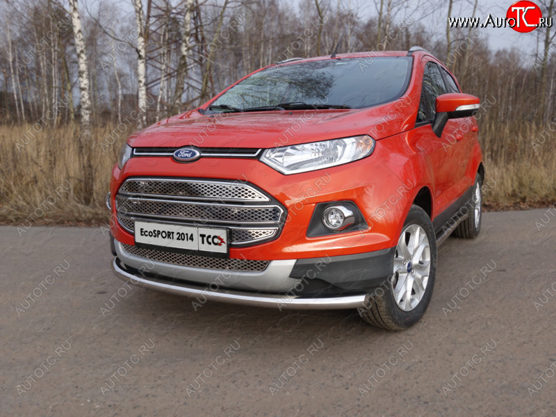 12 999 р. Защита переднего бампера нижняя d60,3 мм ТСС Тюнинг  Ford EcoSport (2013-2019) дорестайлинг (нержавейка)  с доставкой в г. Таганрог