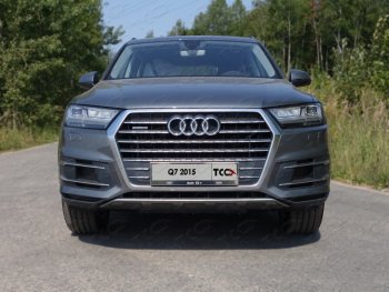 6 449 р. Рамка гос. номера ТСС Тюнинг  Audi Q7  4M (2015-2020) дорестайлинг (нержавейка)  с доставкой в г. Таганрог. Увеличить фотографию 1