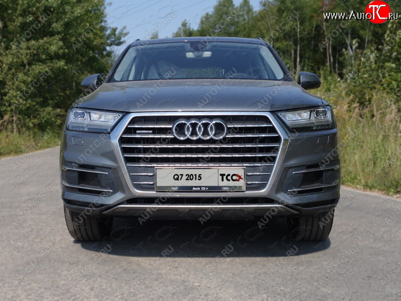 6 449 р. Рамка гос. номера ТСС Тюнинг  Audi Q7  4M (2015-2020) дорестайлинг (нержавейка)  с доставкой в г. Таганрог