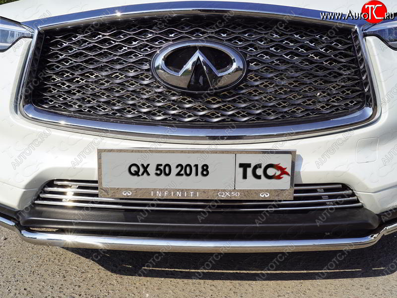 6 449 р. Рамка гос. номера ТСС Тюнинг INFINITI Qx50 J55 (2017-2022) (нержавейка)  с доставкой в г. Таганрог