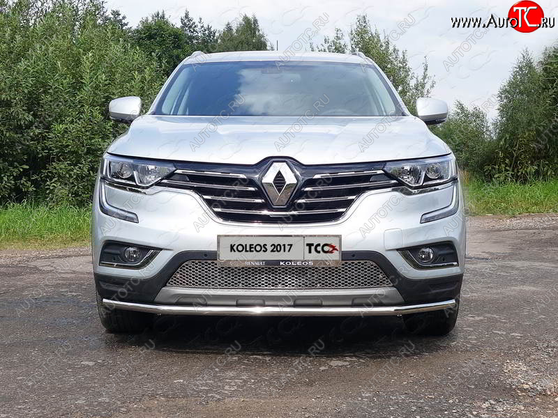 6 449 р. Рамка гос. номера ТСС Тюнинг  Renault Koleos  2 (2016-2025) (нержавейка)  с доставкой в г. Таганрог