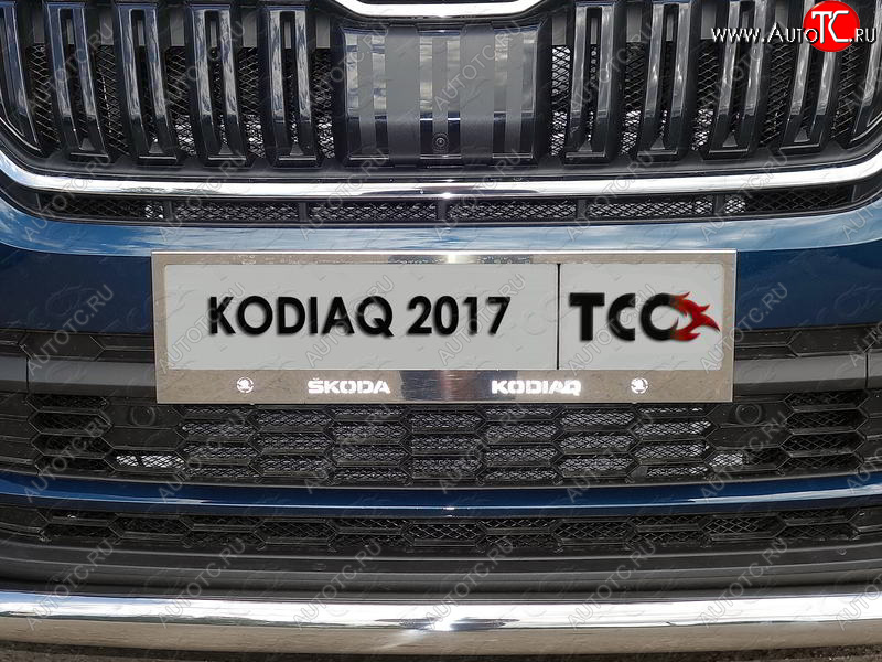 6 449 р. Рамка гос. номера ТСС Тюнинг Skoda Kodiaq NU7 дорестайлинг (2017-2021) (нержавейка)  с доставкой в г. Таганрог