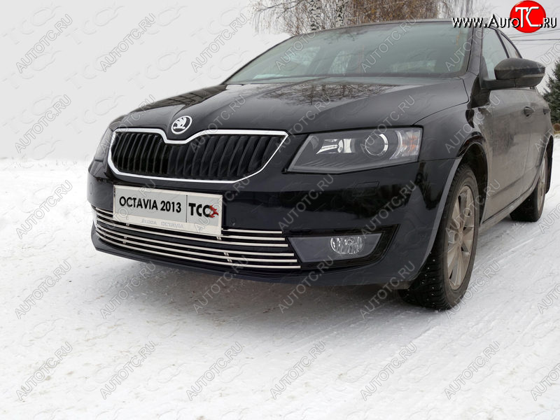 6 449 р. Рамка гос. номера ТСС Тюнинг Skoda Octavia A7 дорестайлинг лифтбэк (2012-2017) (нержавейка)  с доставкой в г. Таганрог