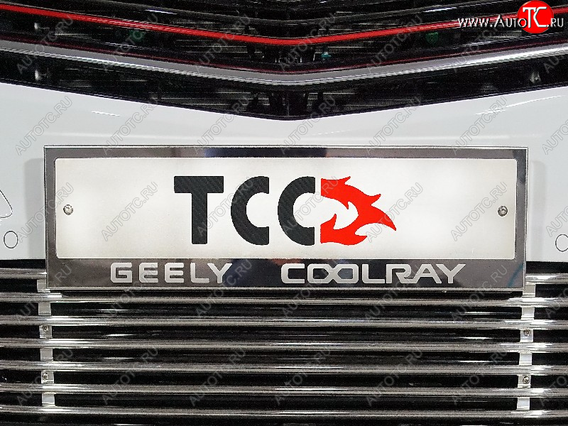 5 299 р. Рамка гос. номера ТСС Тюнинг  Geely Coolray  SX11 (2018-2023) дорестайлинг (нержавейка)  с доставкой в г. Таганрог