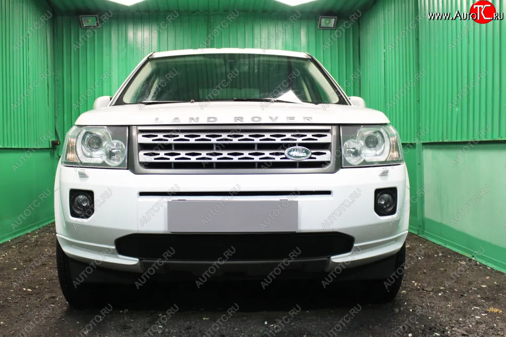 2 899 р. Защитная сетка в бампер (низ, ячейка 3х7 мм) Alfeco Стандарт  Land Rover Freelander  L359 (2010-2012) 1-ый рестайлинг (Чёрная)  с доставкой в г. Таганрог