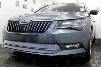 Защита радиатора (2 части) Стрелка11 Стандарт Skoda (Шкода) Superb (Супер) ( B8 (3V),  B8 (3V5)) (2015-2019) B8 (3V), B8 (3V5) лифтбэк дорестайлинг, универсал дорестайлинг