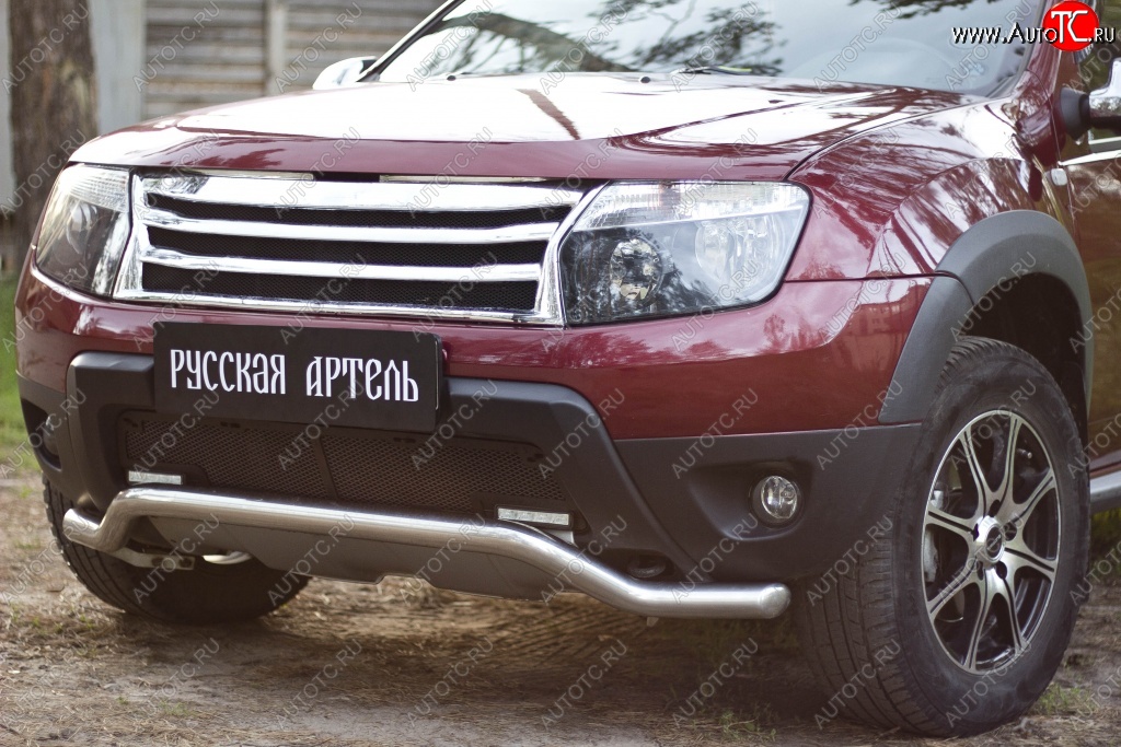 2 179 р. Защитная сетка решетки переднего бампера (c дхо и обвесом) РА Renault Duster HS дорестайлинг (2010-2015)  с доставкой в г. Таганрог