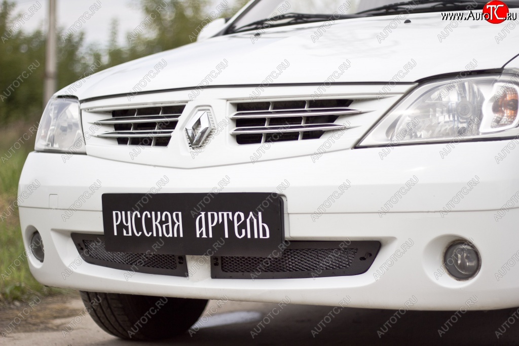 1 799 р. Защитная сетка решетки переднего бампера РА  Renault Logan  1 (2004-2010) дорестайлинг  с доставкой в г. Таганрог