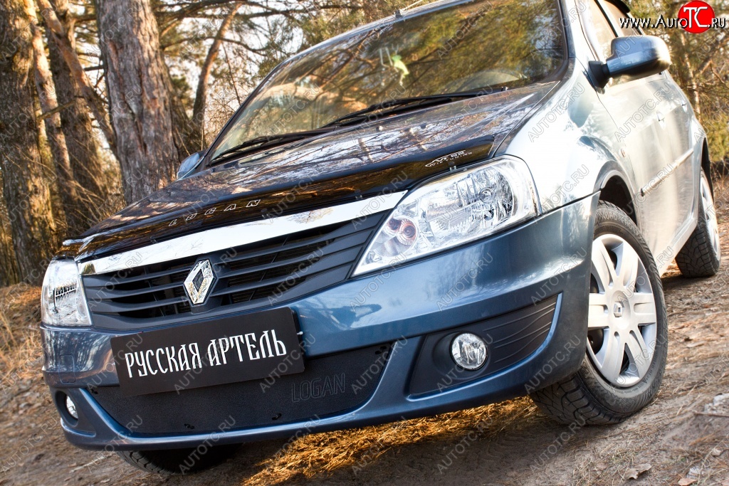 969 р. Защитная сетка решетки переднего бампера РА Renault Logan 1 рестайлинг (2010-2016)  с доставкой в г. Таганрог