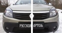 2 149 р. Защитная сетка решетки переднего бампера РА  Renault Sandero Stepway  (BS) (2010-2014)  с доставкой в г. Таганрог. Увеличить фотографию 2