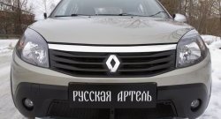 2 149 р. Защитная сетка решетки переднего бампера РА  Renault Sandero Stepway  (BS) (2010-2014)  с доставкой в г. Таганрог. Увеличить фотографию 3