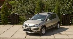 4 699 р. Молдинги дверей RA (комплект) Renault Sandero (B8) дорестайлинг (2014-2018) (Поверхность глянец (под окраску), Неокрашенные)  с доставкой в г. Таганрог. Увеличить фотографию 2