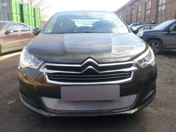 Защитная сетка радиатора в бампер (ячейка 3х7 мм) Стрелка 11 Стандарт CITROEN (Ситроен) C4 (С4)  B7 (2013-2016) B7 седан дорестайлинг