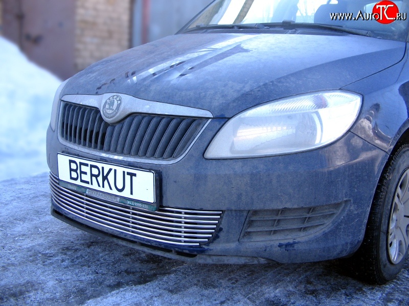 5 899 р. Декоративная вставка воздухозаборника Berkut Skoda Fabia Mk2 универсал дорестайлинг (2007-2010)  с доставкой в г. Таганрог