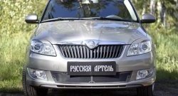 1 999 р. Защитная сетка решетки переднего бампера РА  Skoda Fabia  Mk2 (2010-2014) универсал рестайлинг, хэтчбэк рестайлинг  с доставкой в г. Таганрог. Увеличить фотографию 2