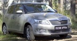 1 999 р. Защитная сетка решетки переднего бампера РА  Skoda Fabia  Mk2 (2010-2014) универсал рестайлинг, хэтчбэк рестайлинг  с доставкой в г. Таганрог. Увеличить фотографию 3