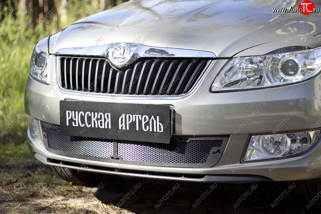 1 999 р. Защитная сетка решетки переднего бампера РА  Skoda Fabia  Mk2 (2010-2014) универсал рестайлинг, хэтчбэк рестайлинг  с доставкой в г. Таганрог