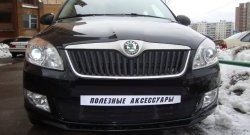 1 469 р. Сетка на бампер (рестайлинг) Russtal (черная) Skoda Fabia Mk2 универсал дорестайлинг (2007-2010)  с доставкой в г. Таганрог. Увеличить фотографию 3