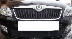 1 469 р. Сетка на бампер (рестайлинг) Russtal (черная) Skoda Fabia Mk2 универсал дорестайлинг (2007-2010)  с доставкой в г. Таганрог. Увеличить фотографию 4