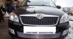 1 539 р. Сетка на бампер (рестайлинг) Russtal (хром)  Skoda Fabia  Mk2 (2007-2010) универсал дорестайлинг, хэтчбэк дорестайлинг  с доставкой в г. Таганрог. Увеличить фотографию 2