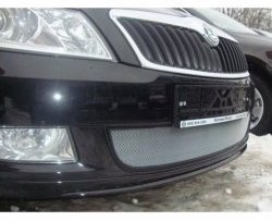 1 539 р. Сетка на бампер (рестайлинг) Russtal (хром)  Skoda Fabia  Mk2 (2007-2010) универсал дорестайлинг, хэтчбэк дорестайлинг  с доставкой в г. Таганрог. Увеличить фотографию 1