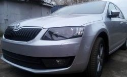 2 569 р. Сетка (для комплектации Ambition, Elegance) на бампер Russtal (черная)  Skoda Octavia  A7 (2012-2017) дорестайлинг лифтбэк, дорестайлинг универсал  с доставкой в г. Таганрог. Увеличить фотографию 2