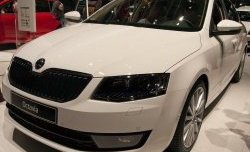 2 569 р. Сетка (для комплектации Ambition, Elegance) на бампер Russtal (черная)  Skoda Octavia  A7 (2012-2017) дорестайлинг лифтбэк, дорестайлинг универсал  с доставкой в г. Таганрог. Увеличить фотографию 1