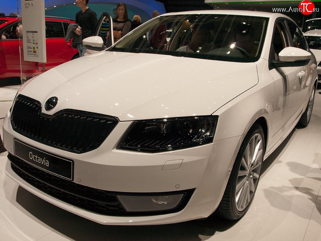 2 569 р. Сетка (для комплектации Ambition, Elegance) на бампер Russtal (черная)  Skoda Octavia  A7 (2012-2017) дорестайлинг лифтбэк, дорестайлинг универсал  с доставкой в г. Таганрог